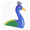 Pecock Birds Bird Icon