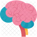 Pedagogy Learning Intelligence Icon