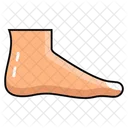 Pedal Extremity Lower Limb Ambulatory Organ Icon