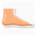 Pedal Extremity Lower Limb Ambulatory Organ Icon