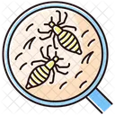 Pediculosis Lice Epidemic Icon