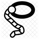 Texas Symbol