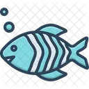 Peixe  Ícone