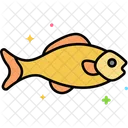 Peixe  Icon