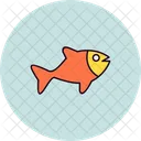 Peixe  Icon