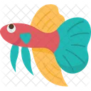 Peixe  Ícone