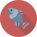 Peixe  Icon