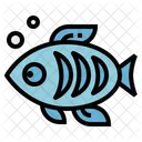 Peixe  Icon