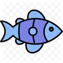 Peixe Animal Natureza Icon