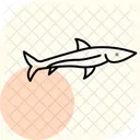 Peixe Agulha Oceano Marinho Ícone