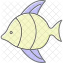 Peixe Anjo Animal De Estimacao Peixe Icon