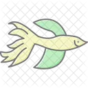 Peixe Betta Peixe Betta Animal De Estimacao Icon