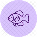 Peixe Disco Peixe Disco Animal De Estimacao Icon