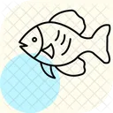 Peixe Disco Peixe Disco Animal De Estimacao Icon