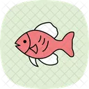 Peixe Disco Peixe Disco Animal De Estimacao Icon