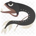 Peixe dragão  Ícone