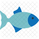 Peixe Icone De Peixe Animal Aquatico Ícone