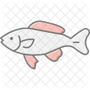Molinesia Preta Animal De Estimacao Peixe Icon