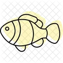 Peixe-palhaçoBacalhau  Ícone