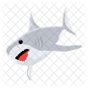 Carcharodon Carcharias Tubarao Branco Peixe Tubarao Icon