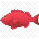 Peixe Vermelho Vara Experiencia De Pesca Ícone