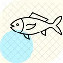 Peixe Vidro Oceano Marinho Ícone