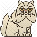 Peke  Icon