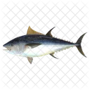 Pelagic Fish Sea Icon