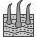 Pelos Da Pele Anatomia Derme Ícone