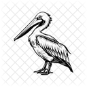 Pelican Bird Wildlife Icon