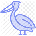 Pelican Oiseau Eau Icon