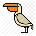 Pelican Bird Ocean Bird Icon