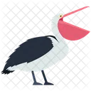 Pelican Bird Nature Icon