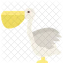 Pelican Bird Animal Icon