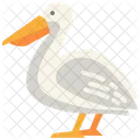 Pelican  Icon