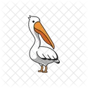 Pelican  Icon