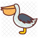 Pelican Bird Water Bird Icon