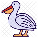 Pelican  Icon