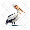 Pelican  Icon