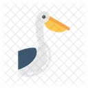 Pelican  Icon