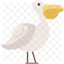 Pelicano Pico Costero Icono