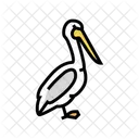 Pelicano Ave Animal Icono