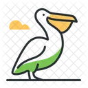 Pelicano Ave Fauna Icono