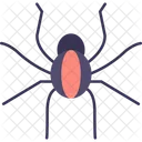 Peligroso Insecto Veneno Icono