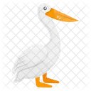 Pelikan Pelecanus Meeresbewohner Symbol