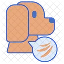 Pelo De Mascotas Alergias Sistema Inmunitario Icono