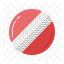 Pelota Equipo Bat Icono