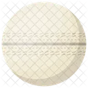 Pelota Cricket Partido Icono