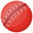 Pelota Cricket Partido Icono