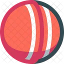 Pelota de cricket  Icono